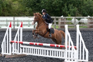 Class 7 - Fences 3' to 3'3